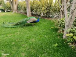 -金庭庄园酒店彩虹厅