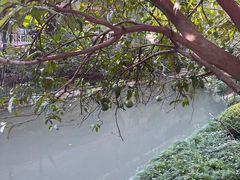 -城隍阁