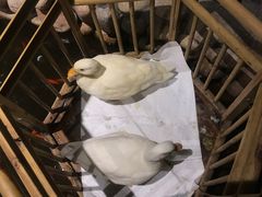 -馬蘭花開(车站大道店)