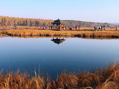 -塞罕坝国家级自然保护区