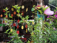 -又见炊烟．纳西小院云南菜