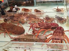 -万龙洲海鲜(大兴绿地缤纷城店)