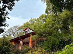 -浙江大学(之江校区)