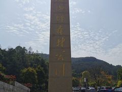 -铁山坪森林公园