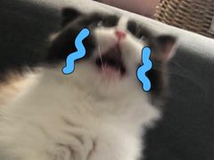 -Awfully Chocolate(嘉里城店)