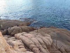 -东澳岛