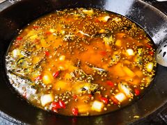 -鲜椒鱼·雅安地标性美食