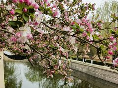 -元大都城垣遗址公园