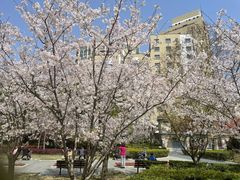 -徐家汇源景区-衡山公园