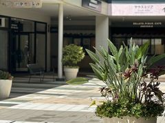 -三井奥特莱斯购物城(爵士之梦长岛店)
