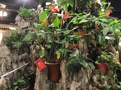 -丰圆轩粤式茶楼 . 点心粤菜(夏茅店)