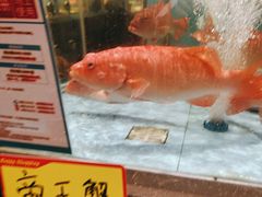 -阿伟海鲜楼·福建菜(延寿店)