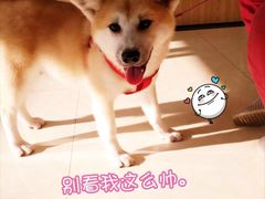 -仁华宠物医院(青羊店)