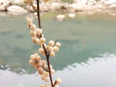 -四会奇石河风景区