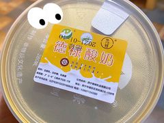 -德禄酸奶(莫家街店)