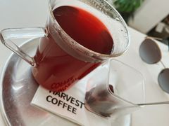 -收获咖啡HARVEST RESERVE(苍山店)