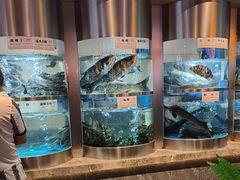 -老船舫·现做活鲜鱼馆(东郊记忆店)