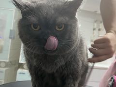 -熊小胖宠物生活馆(天华园店)