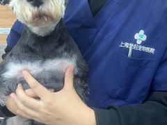 -爱侣宠医·鹦鹉专科·小型哺乳类·异宠专科(灵石路店)