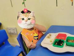 -全优加早教·托育(光大花园校区)