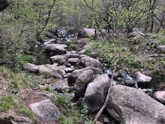 -玉渡山自然风景区