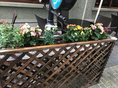 -万商花鸟市场