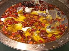 -雲蜀龙阁·金牌水煮鱼(方庄店)