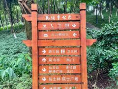 -龙头寺公园