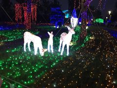 -苏州乐园森林水世界