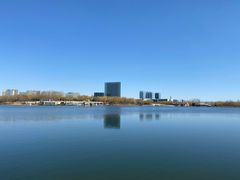 -大兴滨河森林公园