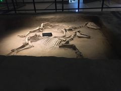 -洛阳周王城天子驾六博物馆