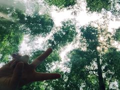 -南京金牛湖风景区