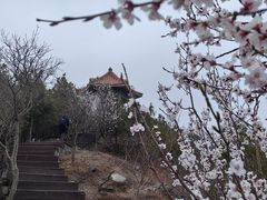 -北京十三陵国家森林公园蟒山景区