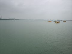-南湖国家城市湿地公园