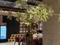 -大鸭梨烤鸭(望京店)