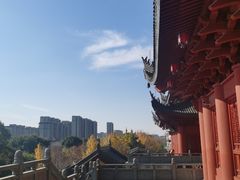 -上海东林寺(金山区)