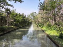 -同里国家湿地公园