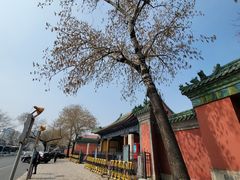 -历代帝王庙博物馆