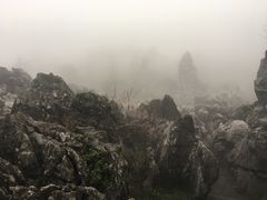 -千岛湖石林