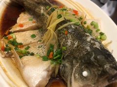 清蒸鲈鱼-眉州东坡(春秀路店)