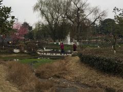 -成飞公园
