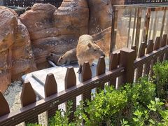 -大连森林动物园