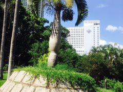 -九龙公园