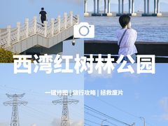 -宝安西湾红树林湿地公园