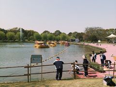 -上海鲜花港