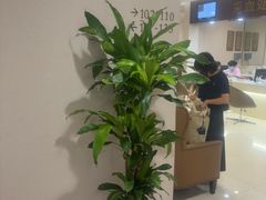 -瑞慈体检上海陆家嘴机构