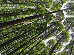 -山王坪喀斯特国家生态公园