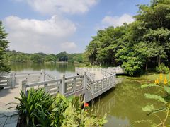 -东莞植物园