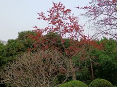 -广州雕塑公园