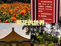 -北海公园